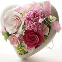 FloweriFJ[l[Vƃo